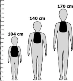 Dinosaurus Backpack - Rex - Peuter Rugtas – Rugzak Schooltas Voor Peuters/Kleuters – Jongens En Meisjes | Kinderrugzak | Kinder Rugzak | Dieren | Schooltas | Peuterspeelzaal | Opvang | 6 Liter | Klein Peuter Rugzak | Rugtas | Dino | T-Rex -Schoolbenodigdheden 1079x1200 7