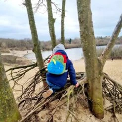 Dinosaurus Backpack - Rex - Peuter Rugtas – Rugzak Schooltas Voor Peuters/Kleuters – Jongens En Meisjes | Kinderrugzak | Kinder Rugzak | Dieren | Schooltas | Peuterspeelzaal | Opvang | 6 Liter | Klein Peuter Rugzak | Rugtas | Dino | T-Rex -Schoolbenodigdheden 1200x1200 847