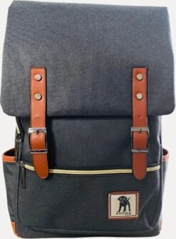 SENNA Rugzak – 15,6 Inch Laptop Rugtas - 30L – USB Oplaadstation - Waterafstotend - Grijs